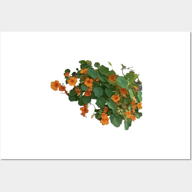 Wild Yellow Nasturtium Wall Art by mindprintz